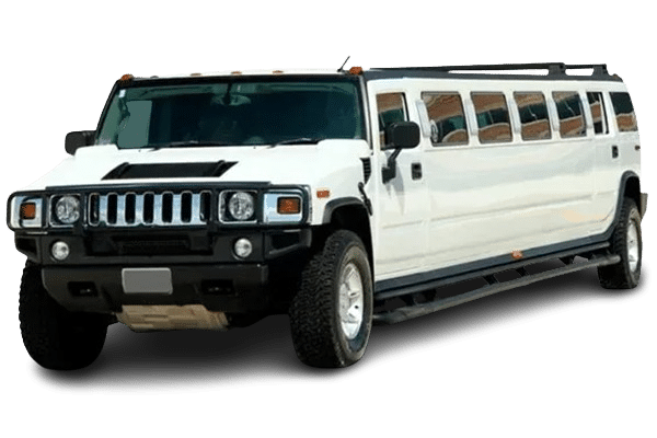 28 Passenger Luxury Coach